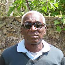 Mali, Dr Dialo Blondin Diop : «Ce sont les Français qui ont été défaits à Kidal et non pas les soi-disant djihadistes»